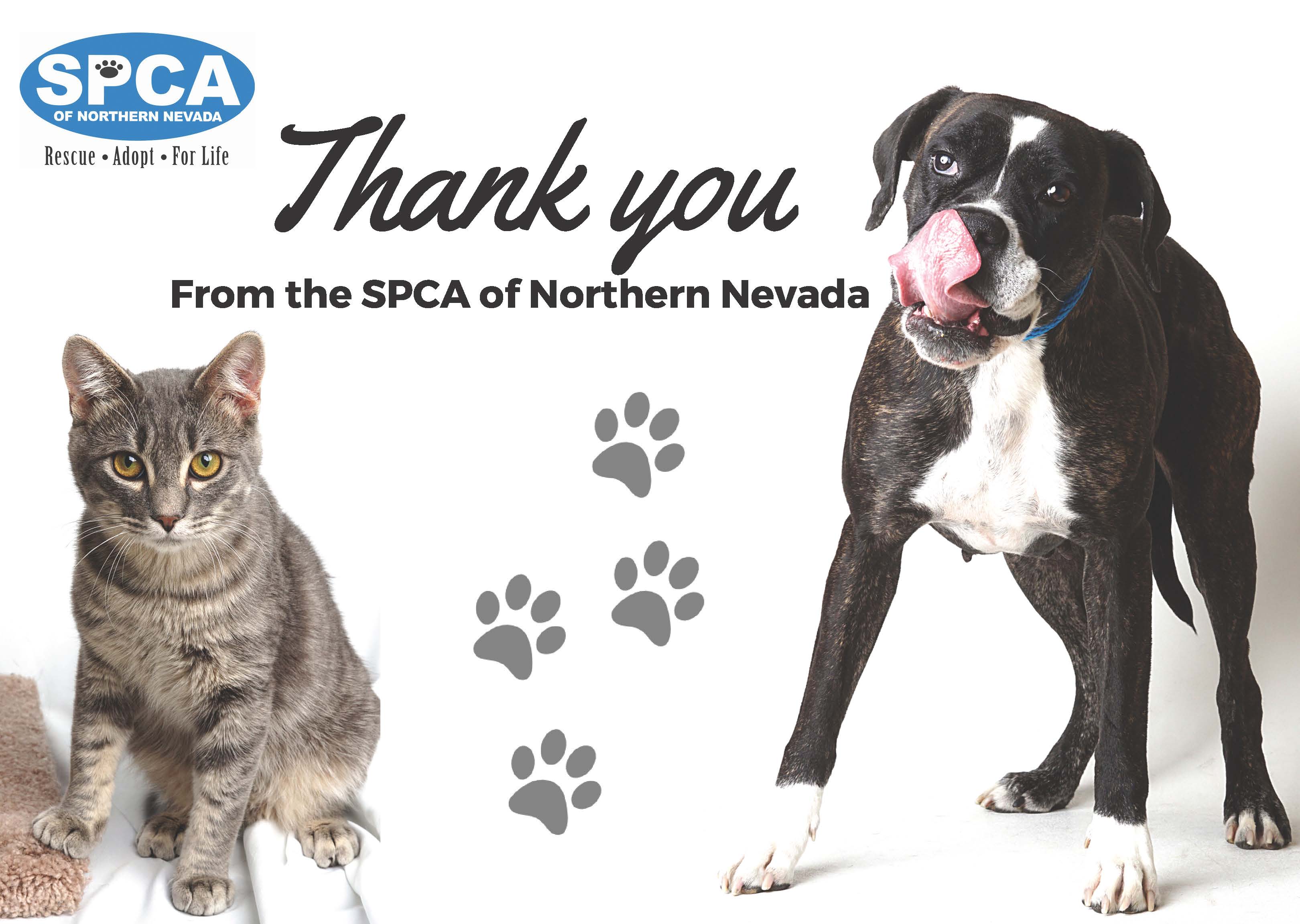 Thank you Card from the SPCA of Northern Nevada featuring a cat and a dog.