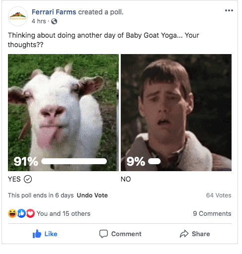 Facebook post from the farm asking users if they should run the Goat Yoga event again. 91% said yes.